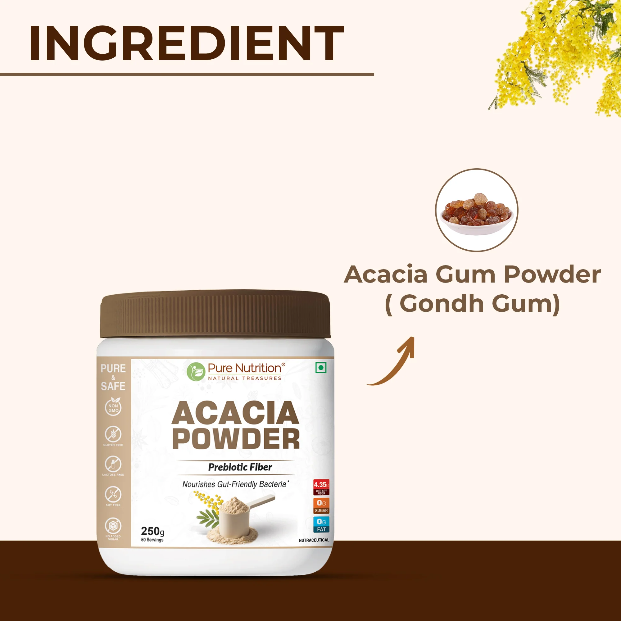 Acacia Powder | Prebiotic Fiber | Plant-Based Supplement - Image 6