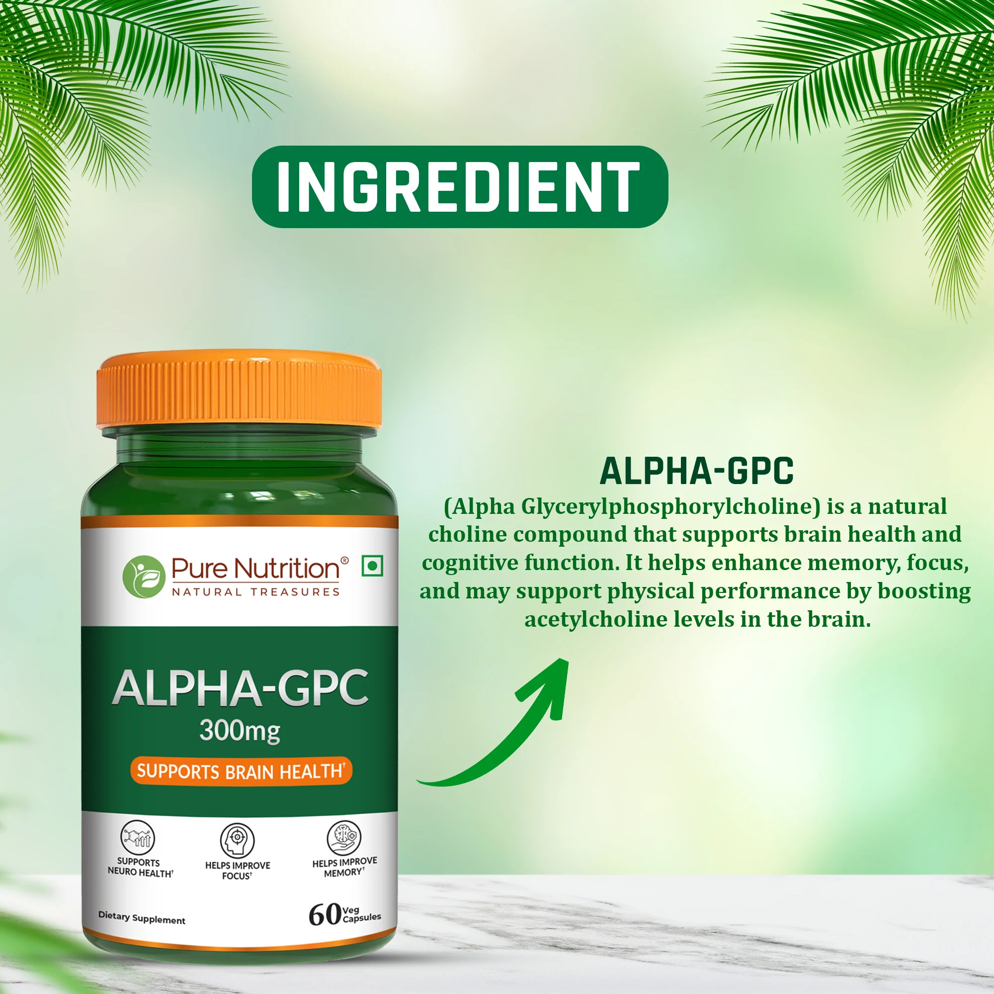 Alpha-GPC 300mg - Image 4
