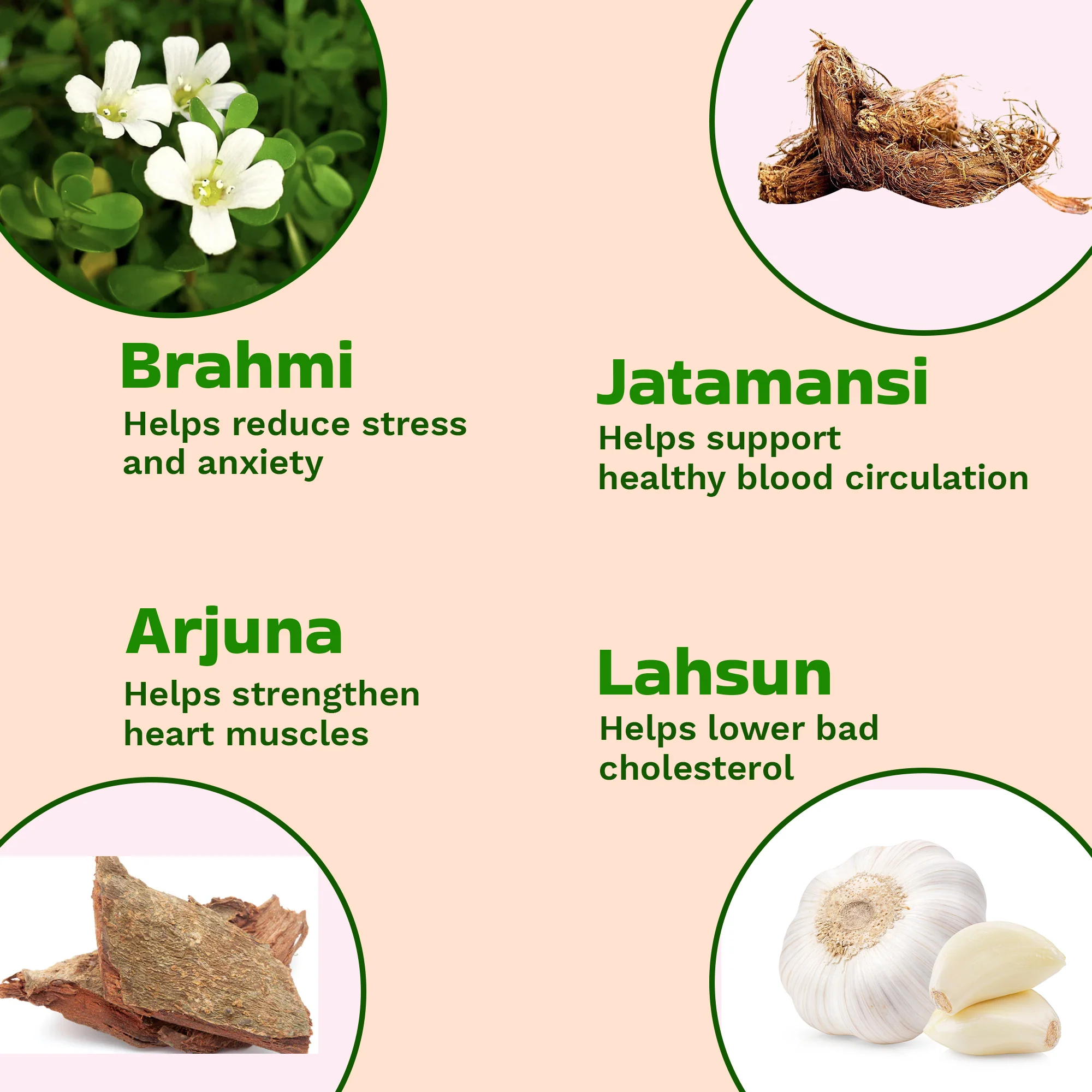 Cardia Juice | Herbal Juice for Wellness Support - Image 3