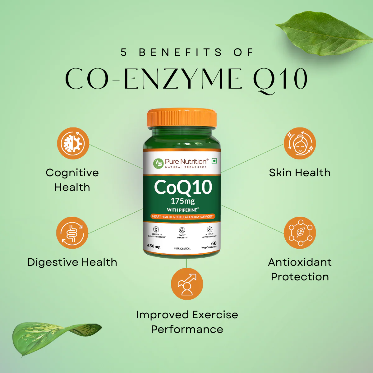 Coenzyme Q10 175 mg – 60 Capsules - Image 3