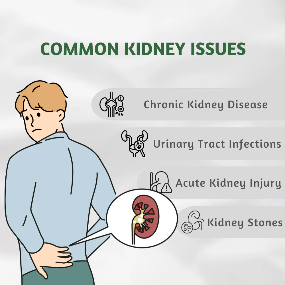 Kidney Wellness Supplement with Turmeric & Vitamin C | Supports Detox - Image 7