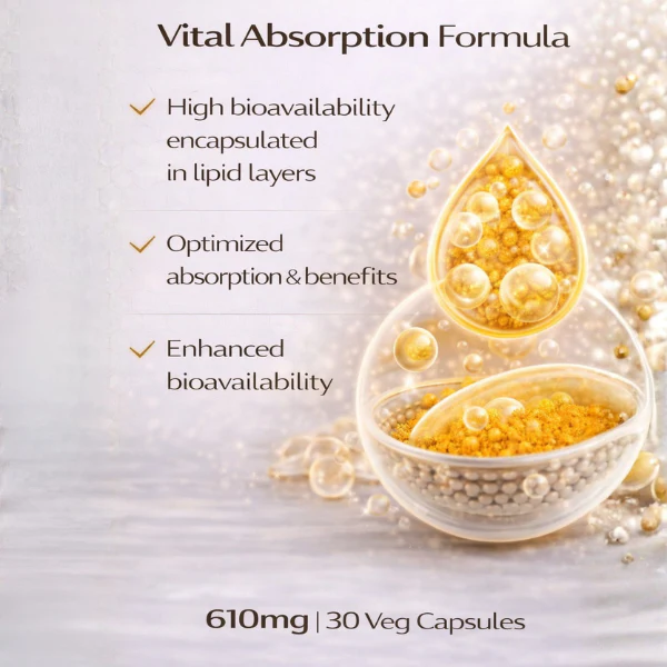 LipoMax Liposomal Curcumin 610mg with Ginger Extract & Piperine - Image 4