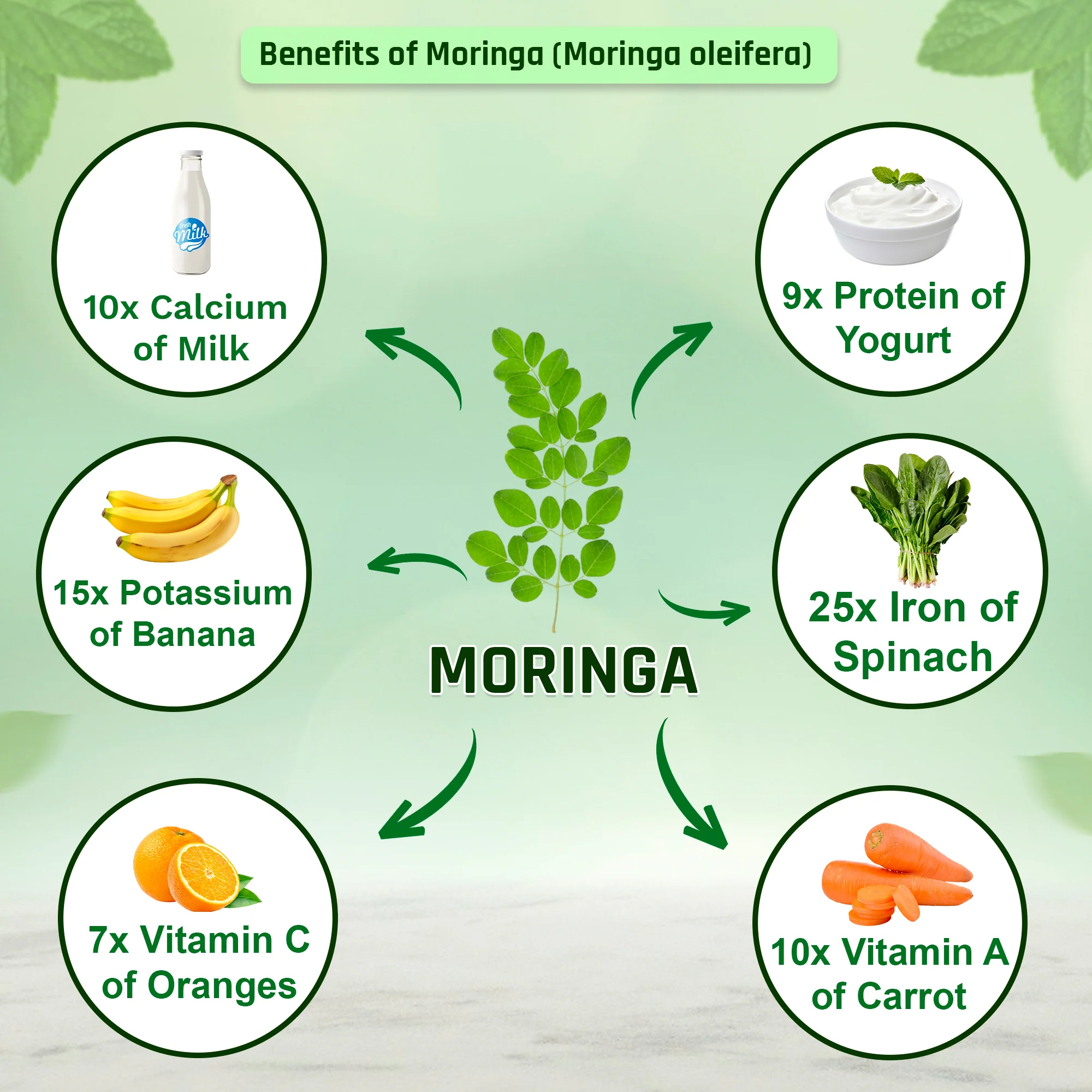 Organic Moringa Powder - 227g | 100% Pure and Natural | Supports Energy, Immunity, and Overall Wellness - Image 5