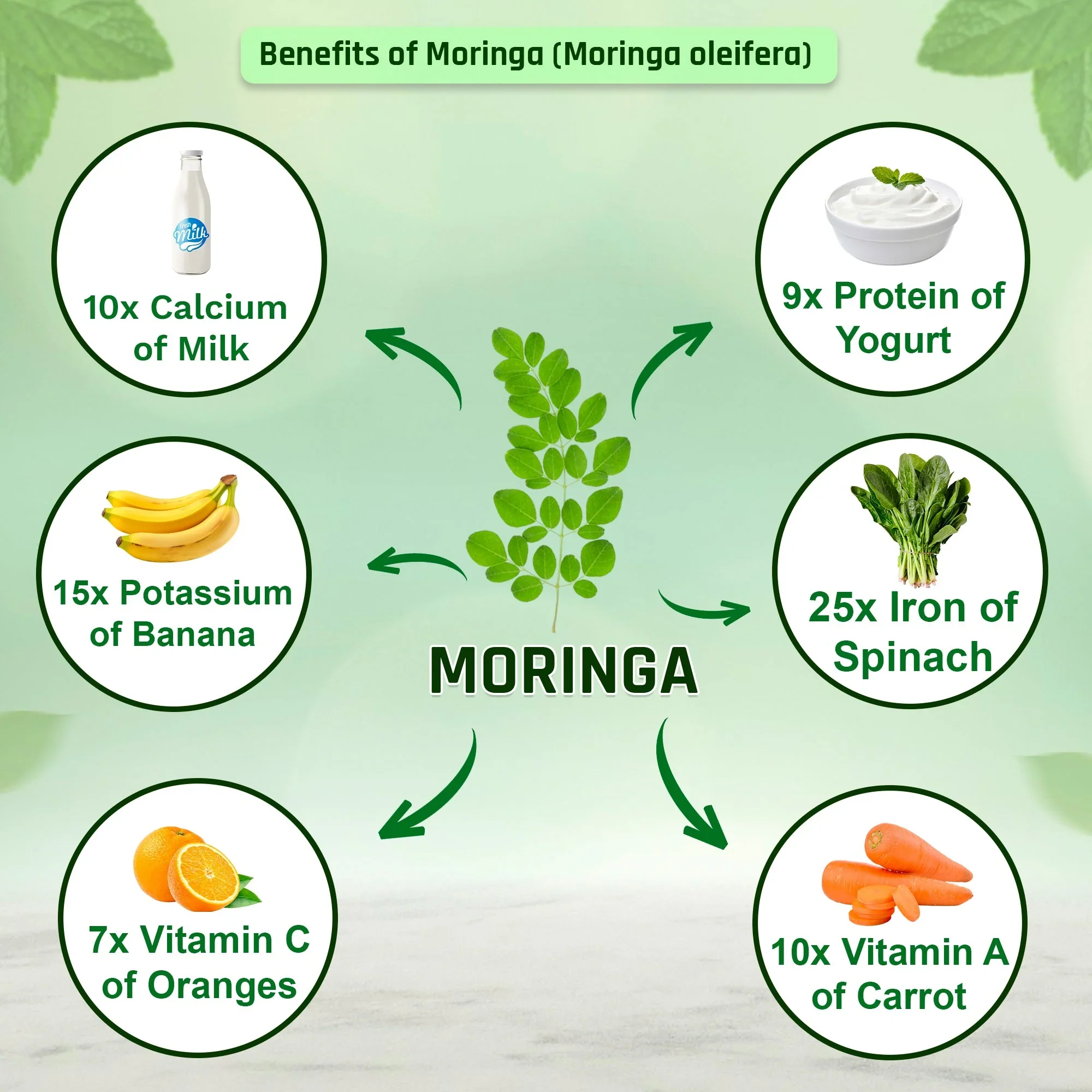 Organic Moringa Tablets 1200mg | Supports Immunity, Digestion & Energy - Image 3