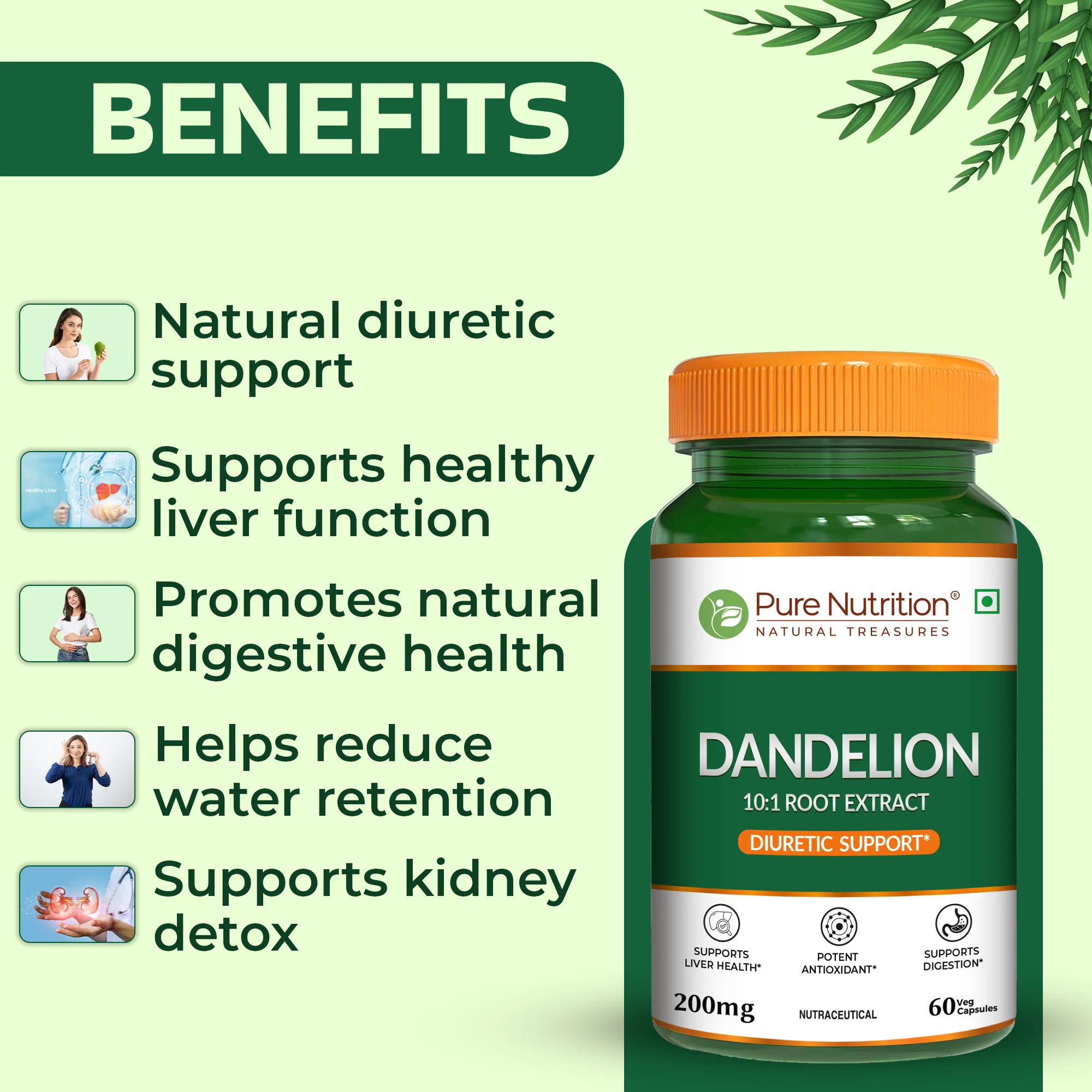 Pure Nutrition Dandelion Root Extract 200mg | Veg Capsules | Herbal Wellness Support - Image 3