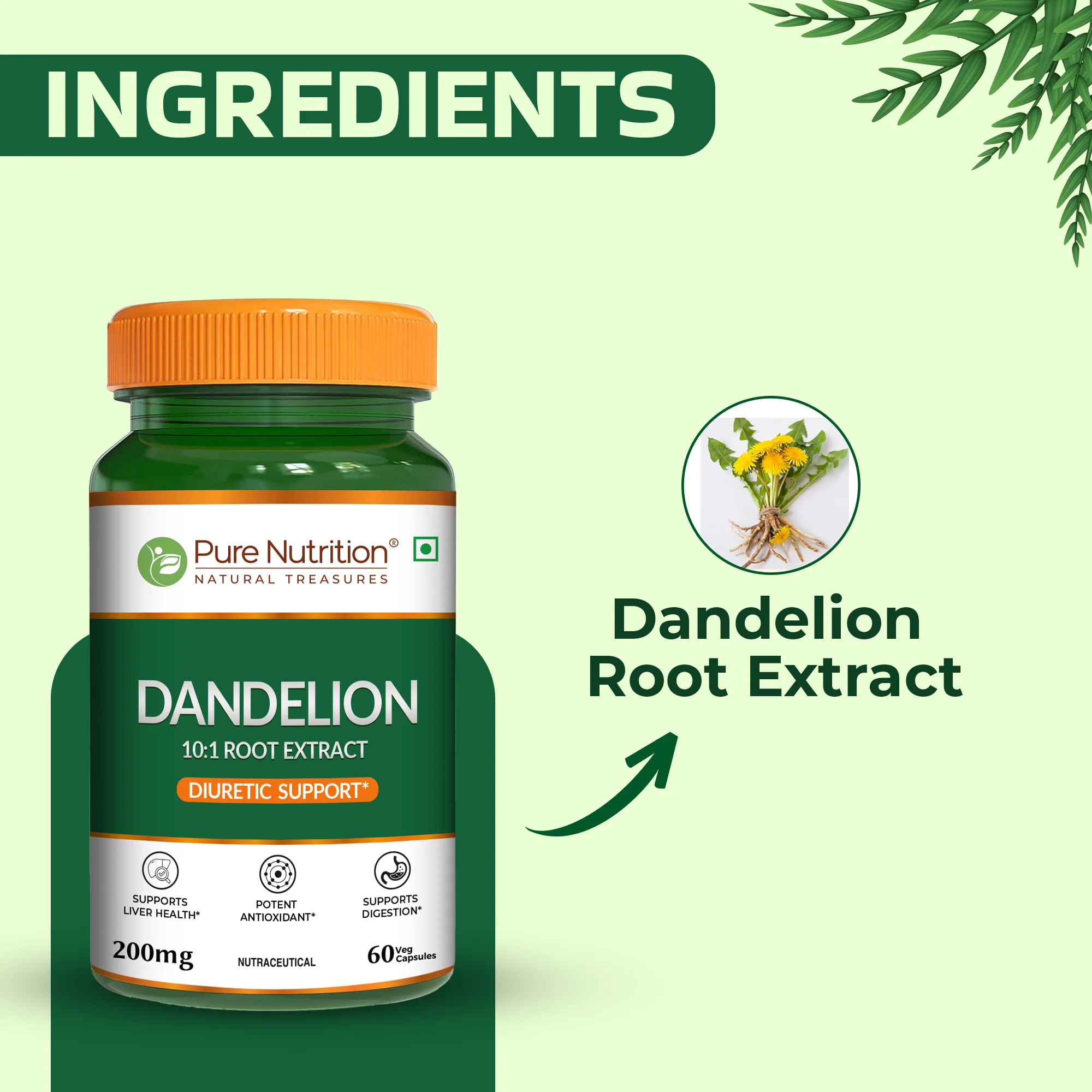 Pure Nutrition Dandelion Root Extract 200mg | Veg Capsules | Herbal Wellness Support - Image 5