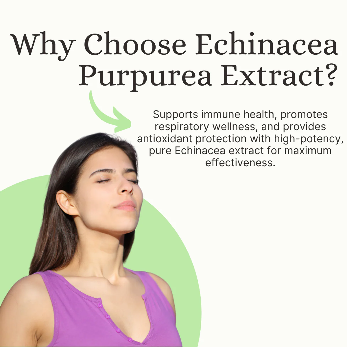 Pure Nutrition Echinacea Capsules -120 Capsules | Antioxidant, Immune Booster, and Anti-Inflammatory Support - Image 3