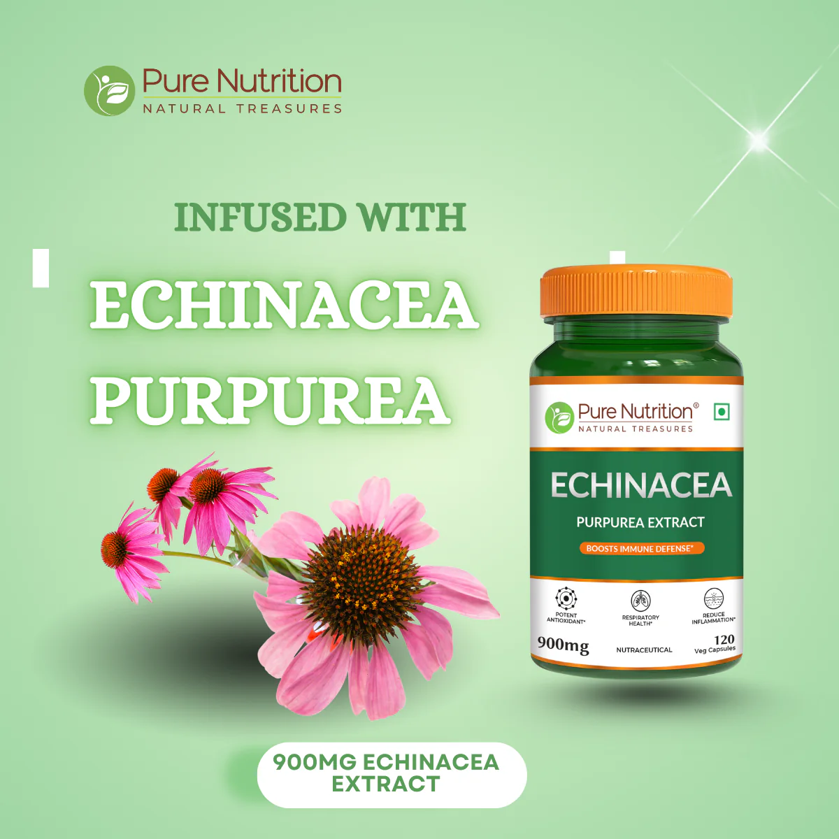 Pure Nutrition Echinacea Capsules -120 Capsules | Antioxidant, Immune Booster, and Anti-Inflammatory Support - Image 5