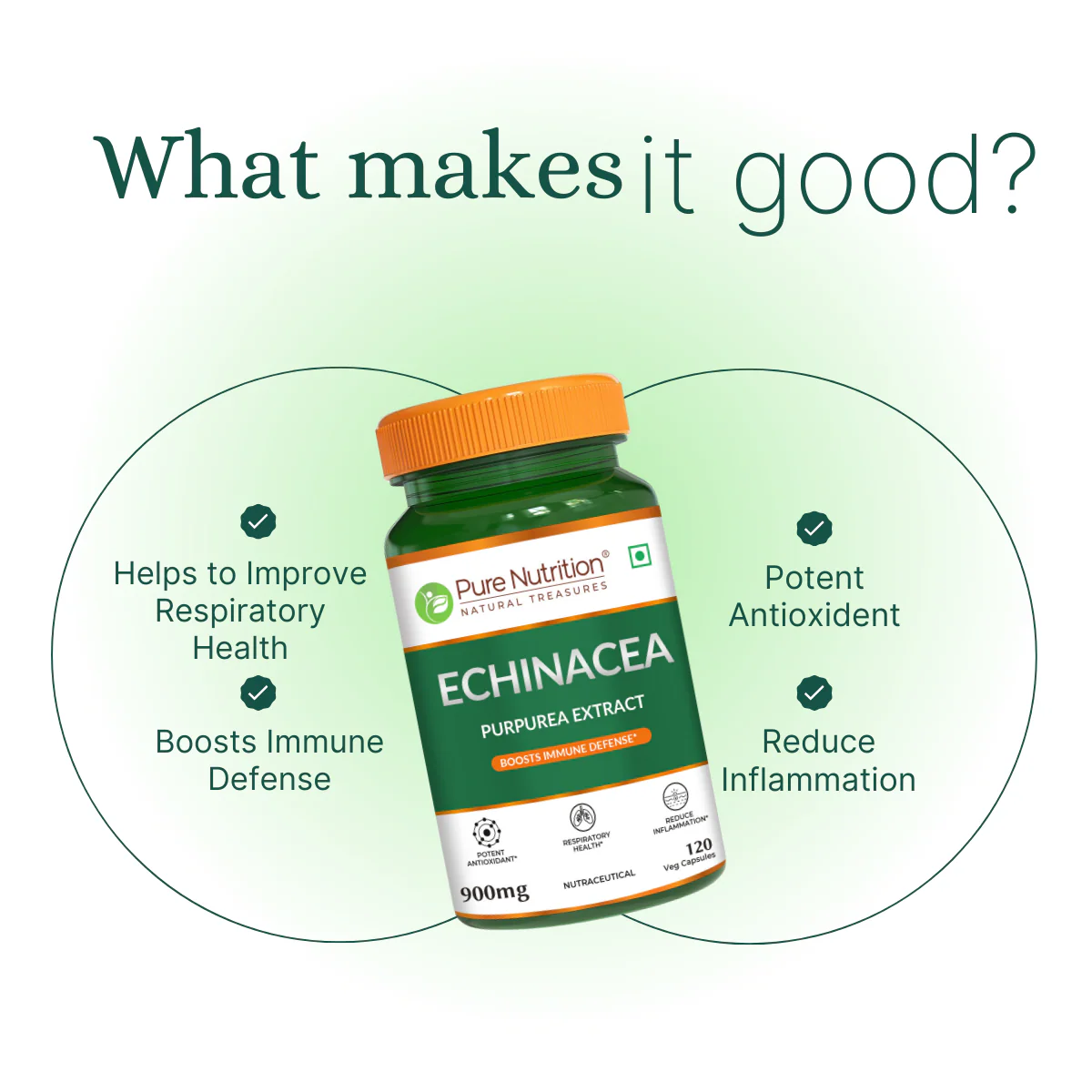 Pure Nutrition Echinacea Capsules -120 Capsules | Antioxidant, Immune Booster, and Anti-Inflammatory Support - Image 6