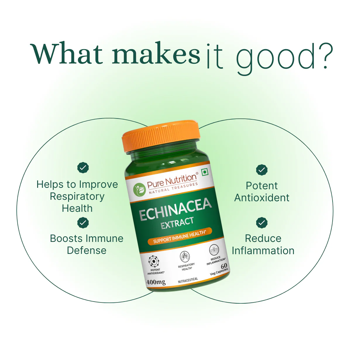 Pure Nutrition Echinacea Capsules - 60 Capsules | Antioxidant, Immune Booster, and Anti-Inflammatory Support - Image 4