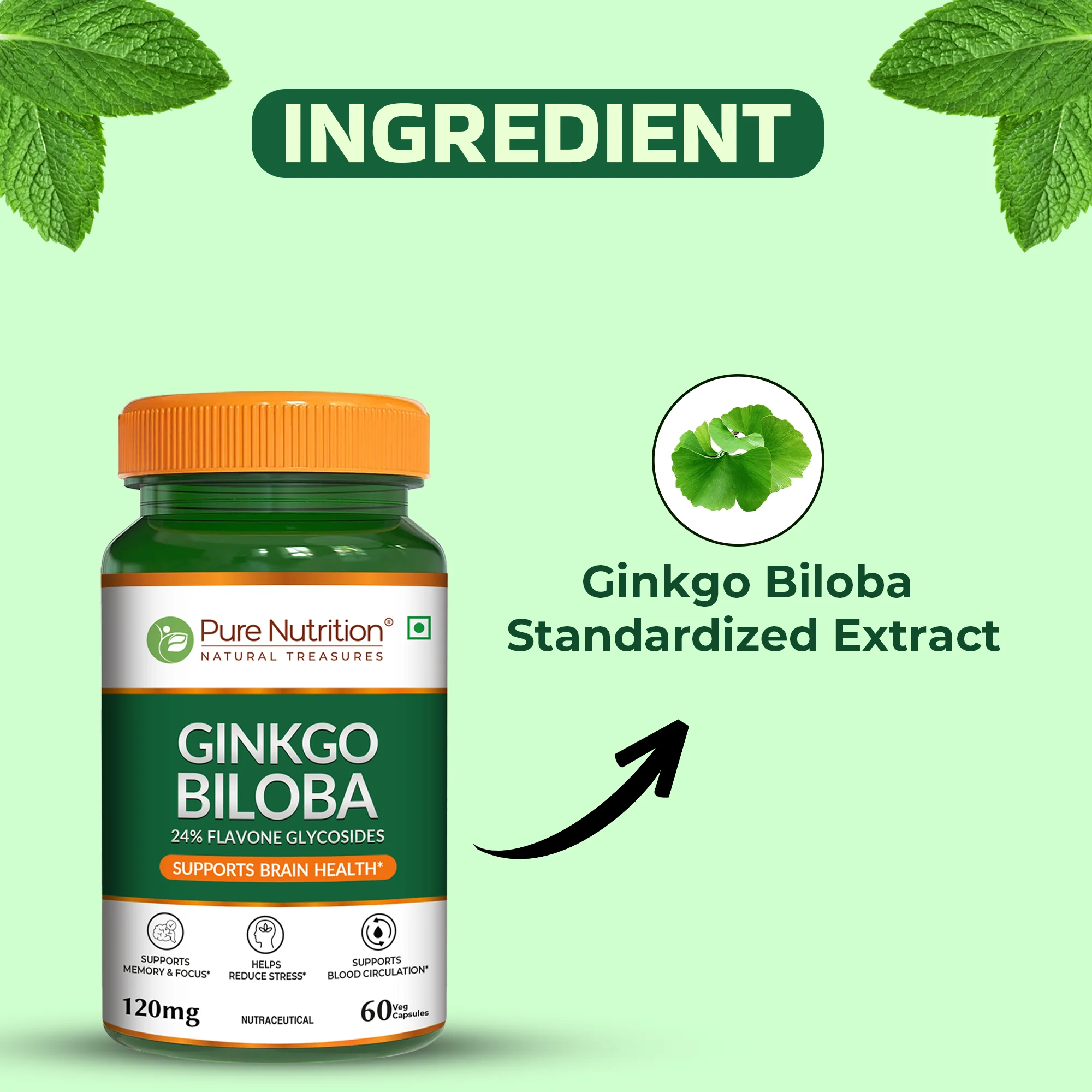 Pure Nutrition Ginkgo Biloba 120mg - Image 5