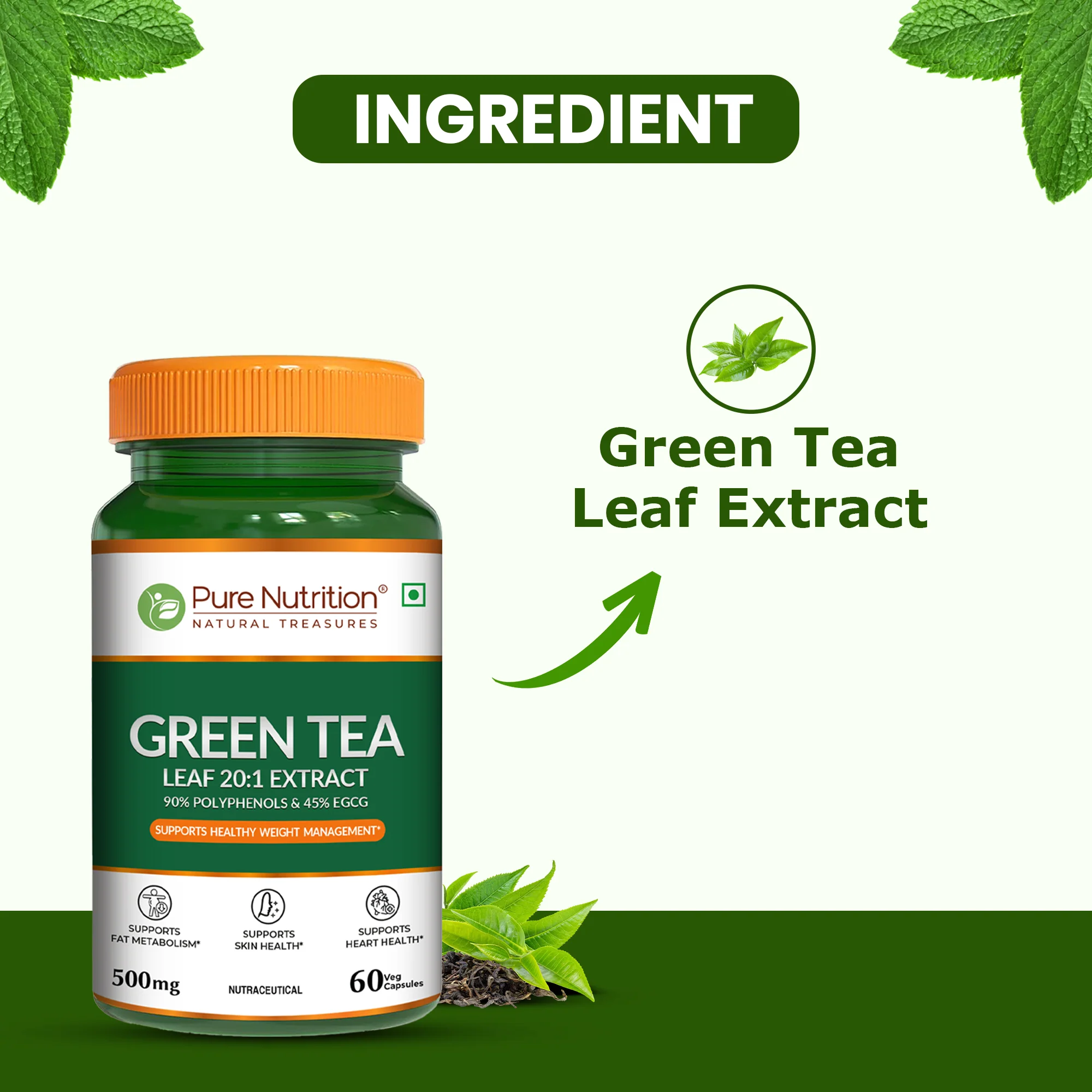 Pure Nutrition Green Tea Leaf 20:1 Extract – 500 mg, 60 Veg Capsules - Image 3