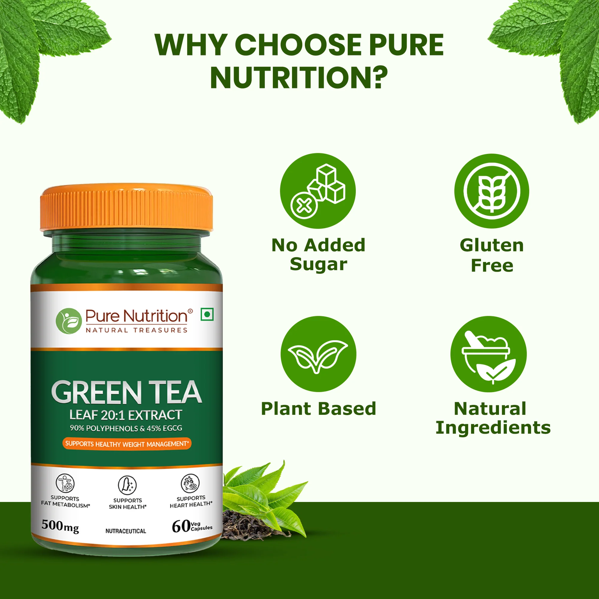 Pure Nutrition Green Tea Leaf 20:1 Extract – 500 mg, 60 Veg Capsules - Image 4