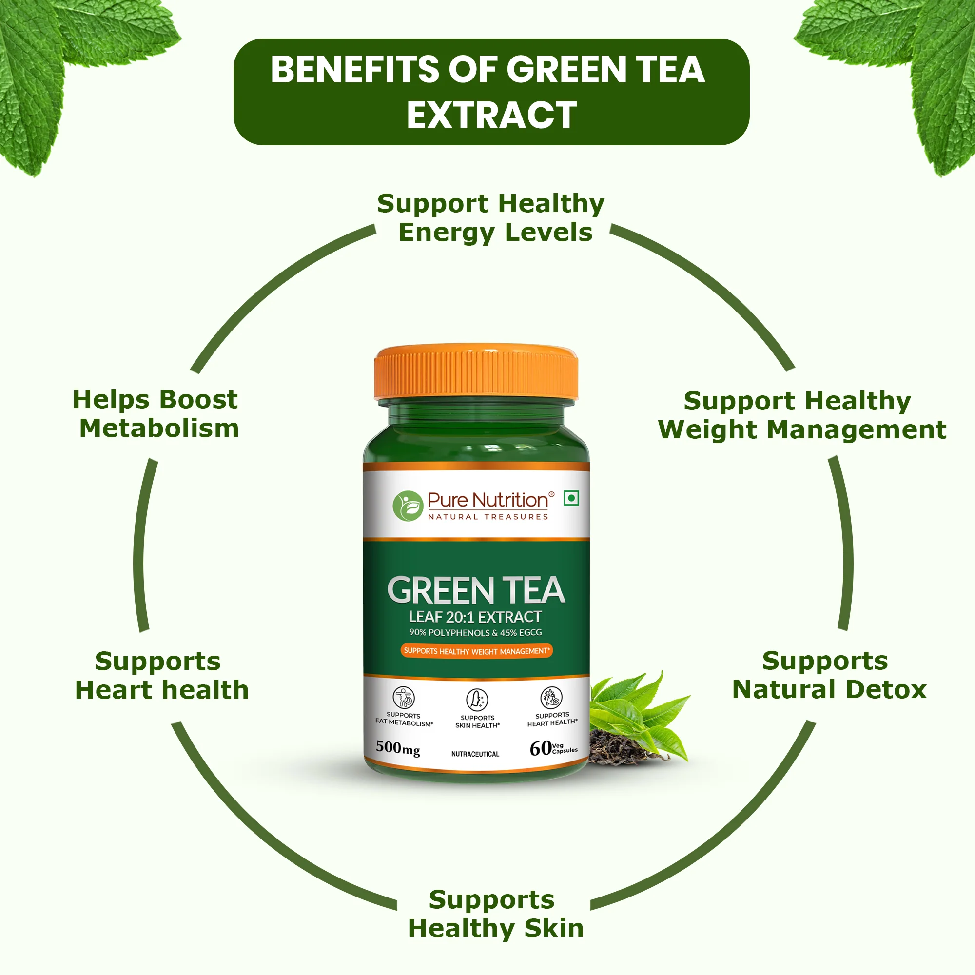 Pure Nutrition Green Tea Leaf 20:1 Extract – 500 mg, 60 Veg Capsules - Image 5