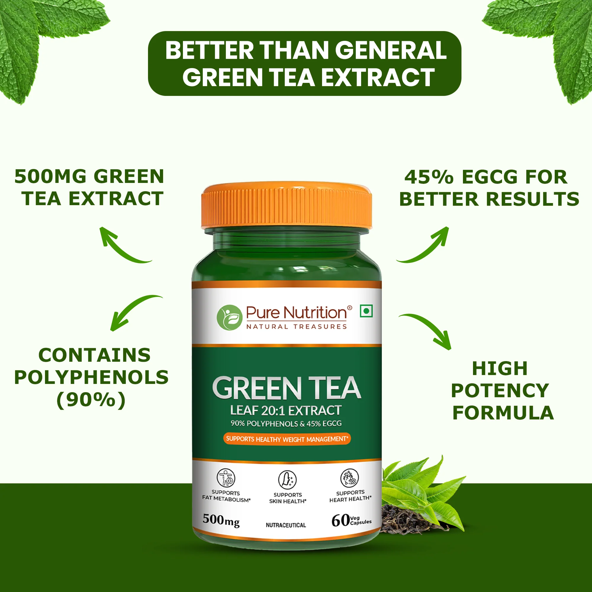 Pure Nutrition Green Tea Leaf 20:1 Extract – 500 mg, 60 Veg Capsules - Image 6