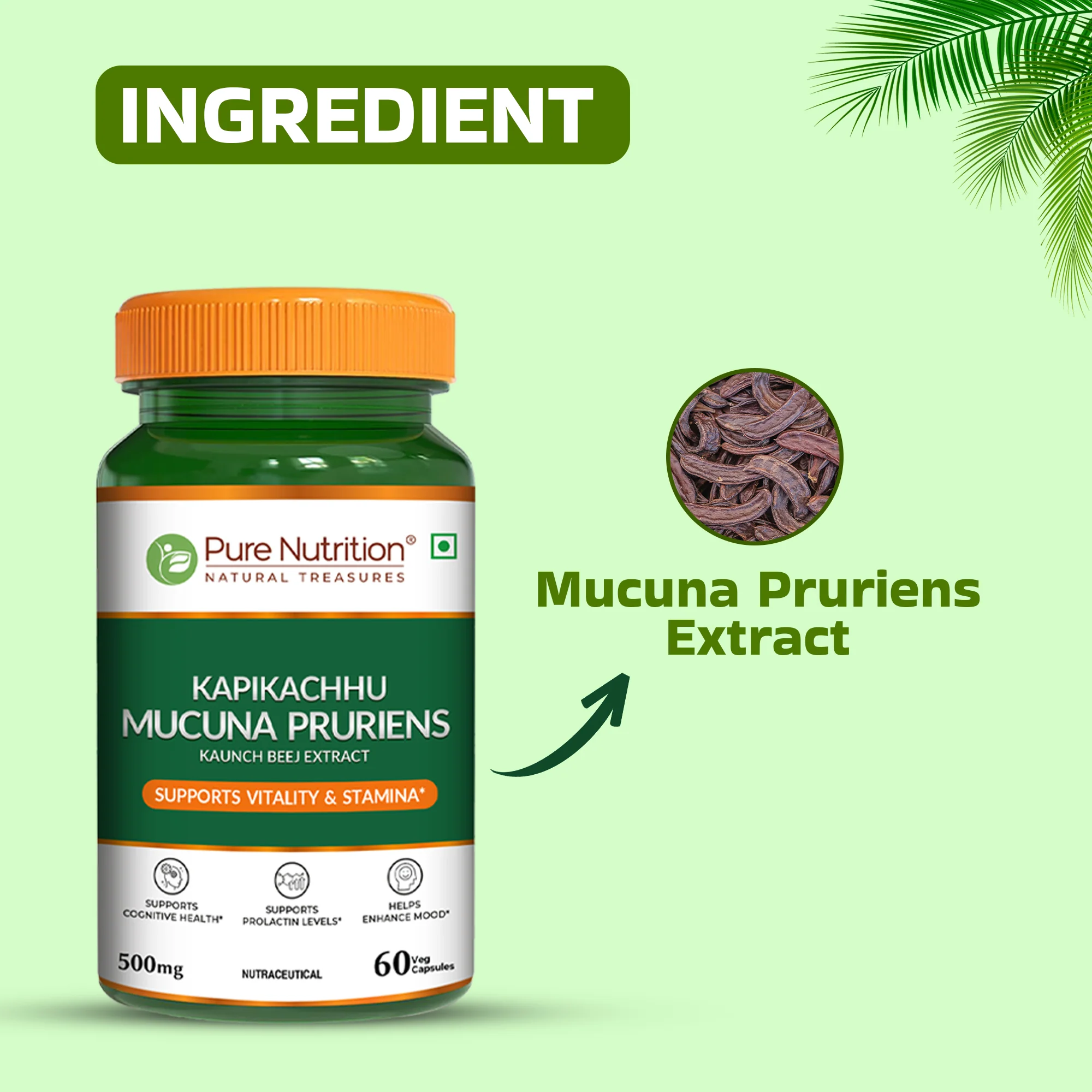 Pure Nutrition Mucuna Pruriens Extract | 500 mg | 60 Veg Capsules - Image 12