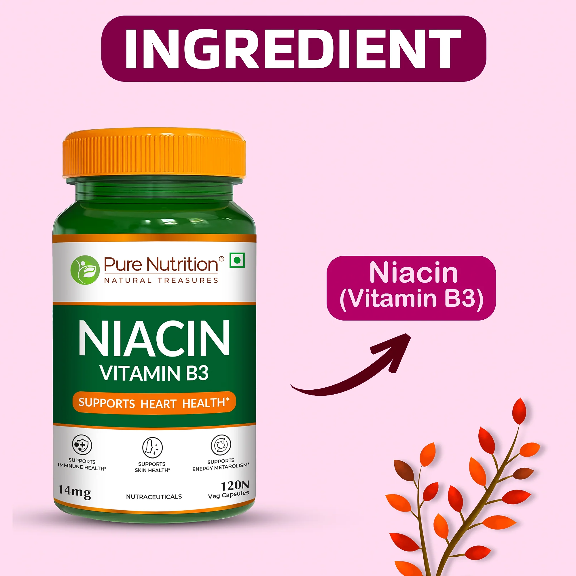 Pure Nutrition Vitamin B3 Niacin – 120 Veg Capsules - Image 2