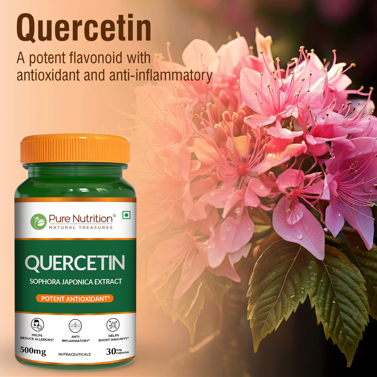 Quercetin 500mg – Antioxidant & Immune Support | 30 Veg Capsules - Image 3